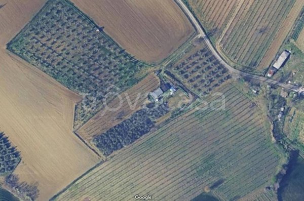 terreno agricolo in vendita a Coriano