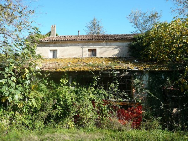 esavano in vendita a Coriano in zona Sant'Andrea in Besanigo