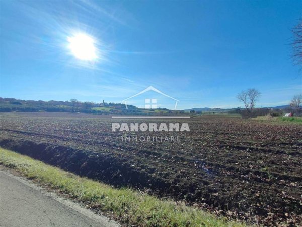terreno agricolo in vendita a Coriano in zona Sant'Andrea in Besanigo