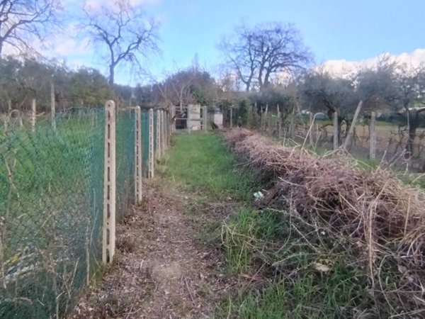 terreno agricolo in vendita a Coriano in zona Sant'Andrea in Besanigo