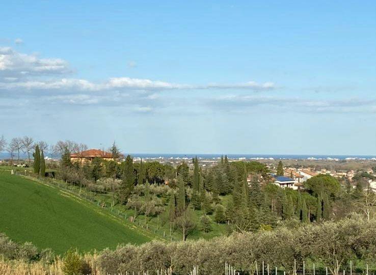 terreno agricolo in vendita a Coriano in zona Ospedaletto