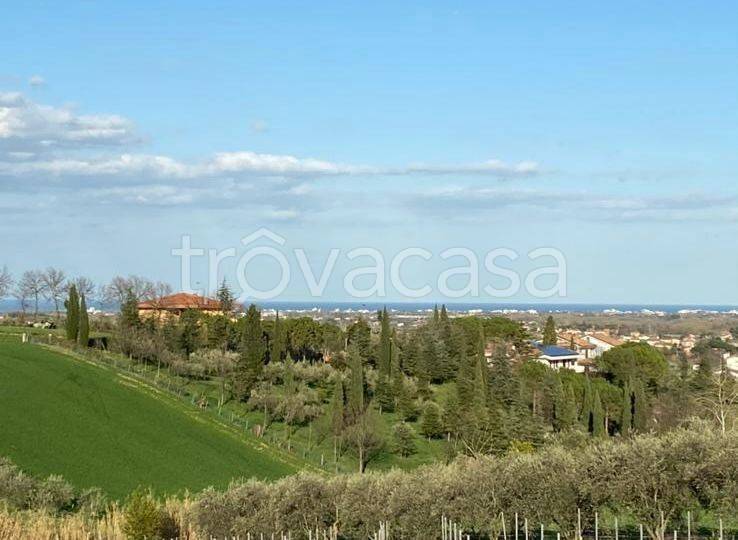 terreno agricolo in vendita a Coriano in zona Ospedaletto