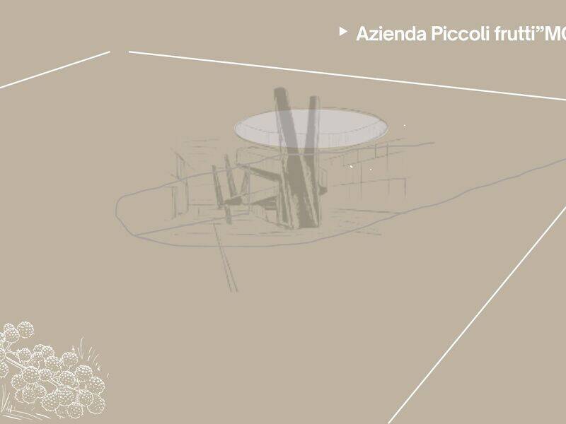 terreno agricolo in vendita a Coriano