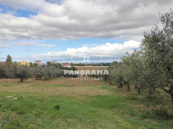 terreno agricolo in vendita a Coriano in zona Ospedaletto
