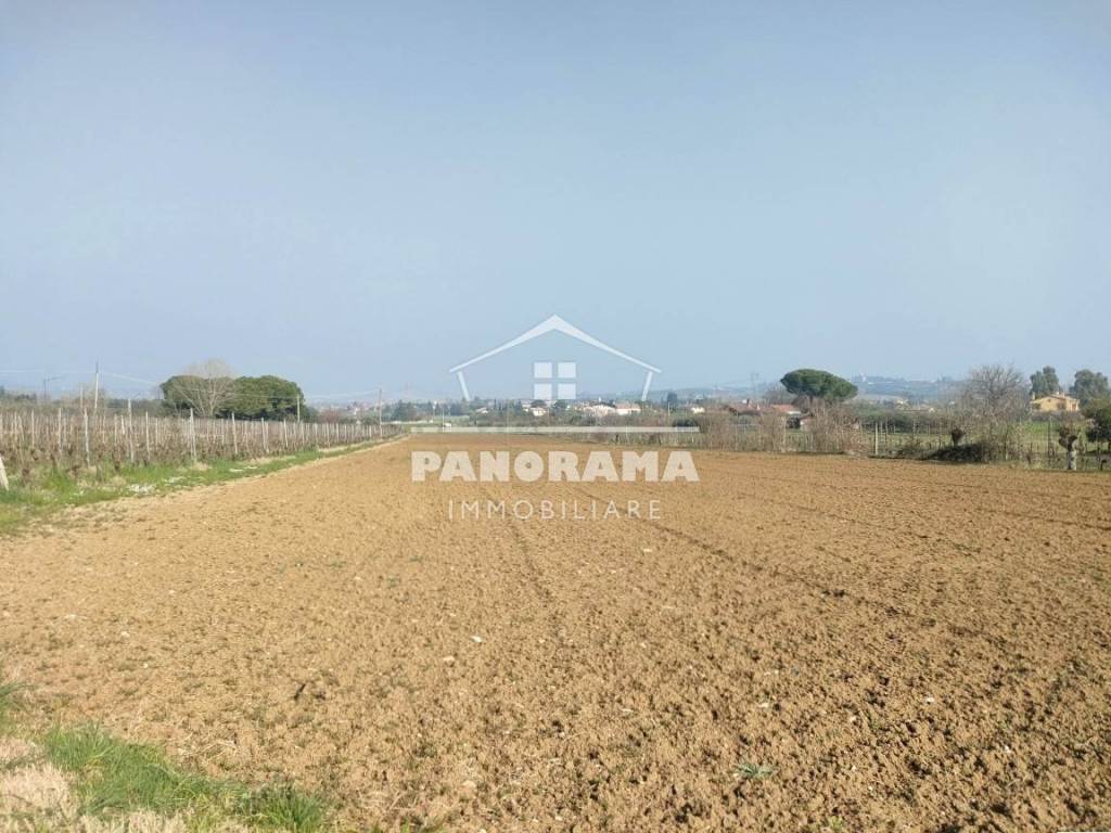 terreno agricolo in vendita a Coriano in zona Ospedaletto