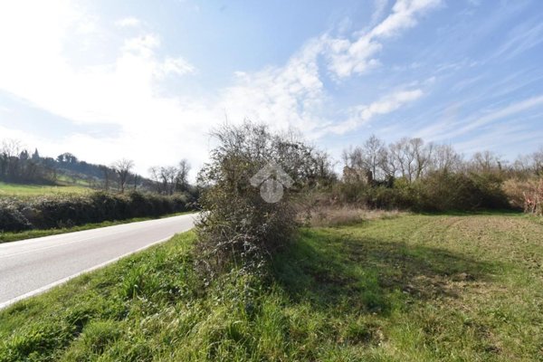 esavano in vendita a Coriano