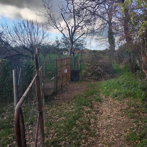 casa indipendente in vendita a Coriano in zona Sant'Andrea in Besanigo