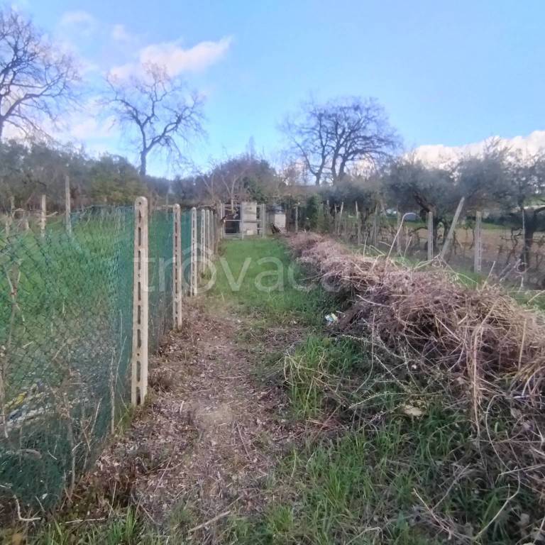 casa indipendente in vendita a Coriano in zona Sant'Andrea in Besanigo