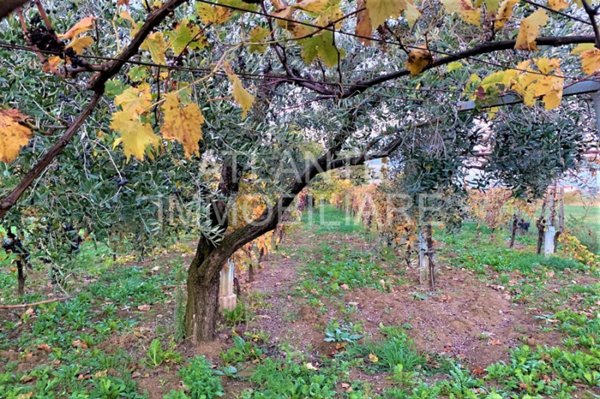 terreno agricolo in vendita a Coriano in zona Sant'Andrea in Besanigo