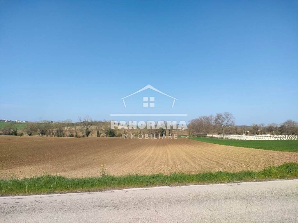 terreno agricolo in vendita a Coriano