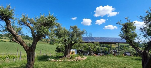 casa indipendente in vendita a Coriano