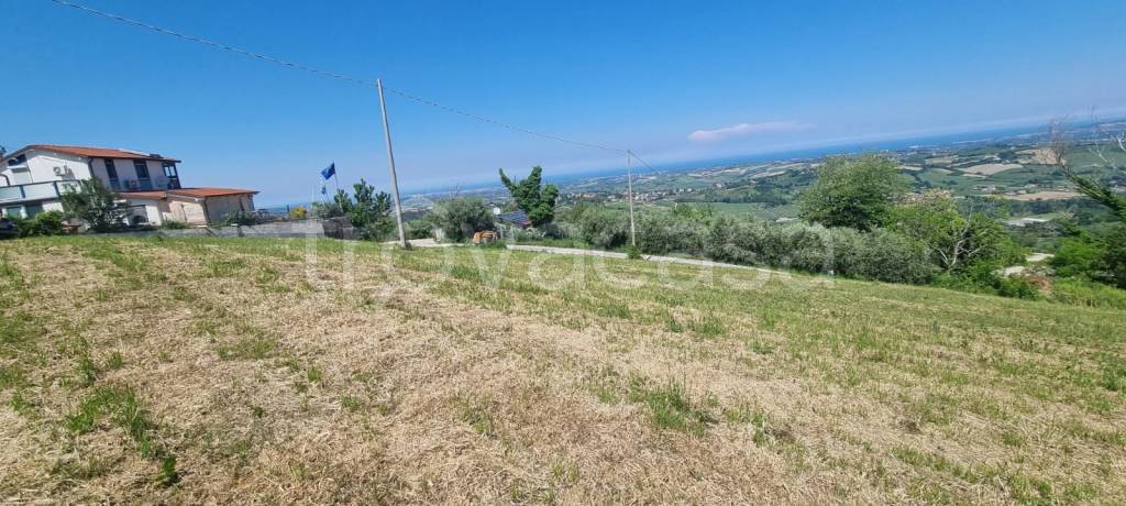 terreno agricolo in vendita a Gemmano