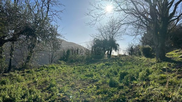 negozio in vendita a Gemmano