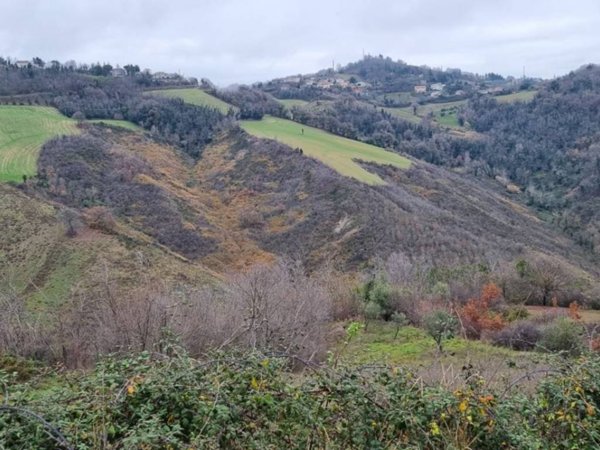terreno agricolo in vendita a Gemmano in zona Zollara