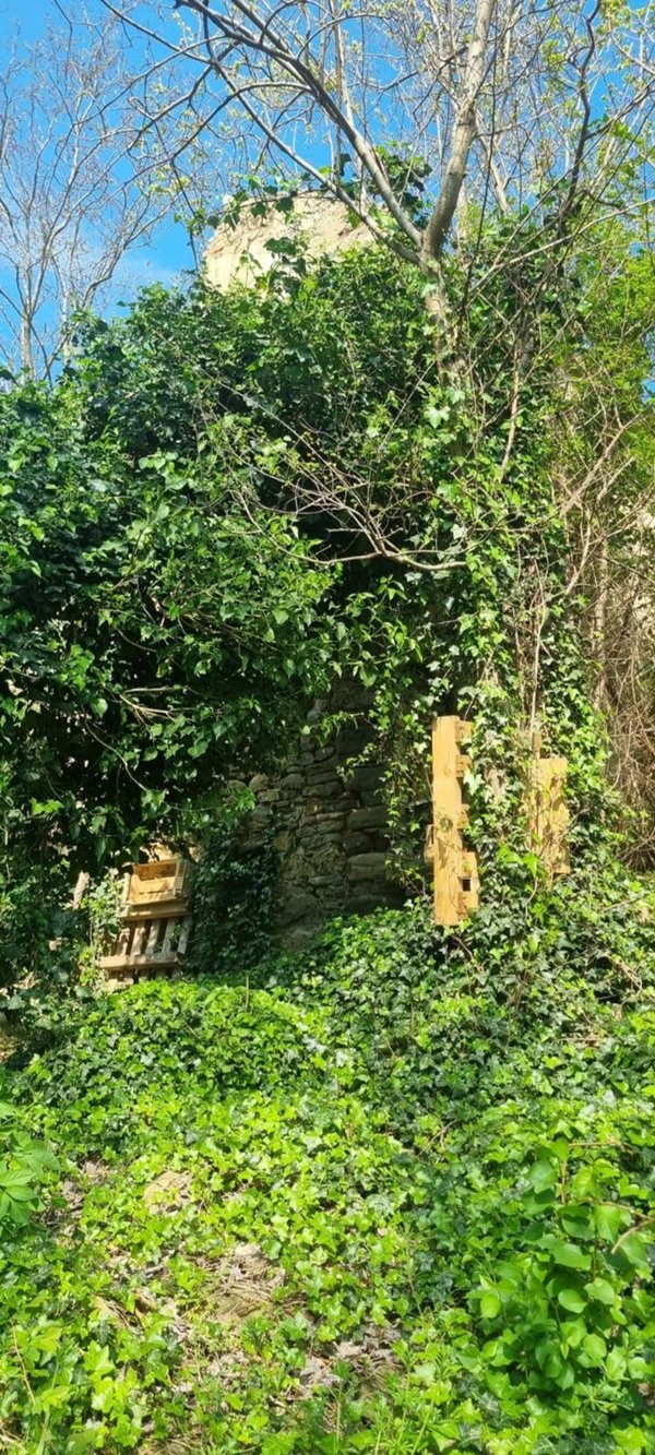 casa indipendente in vendita a Gemmano in zona Zollara