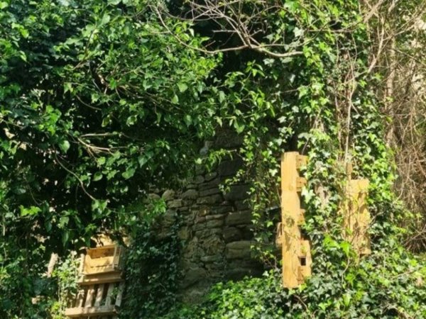 casa indipendente in vendita a Gemmano in zona Zollara