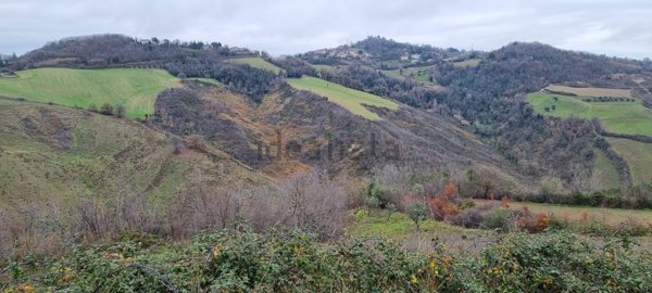 terreno agricolo in vendita a Gemmano in zona Zollara