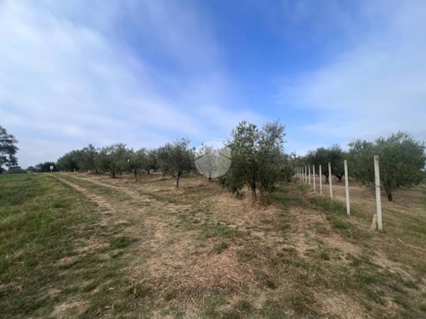 terreno agricolo in vendita a Misano Adriatico