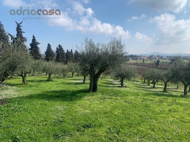 appartamento in vendita a Misano Adriatico in zona Misano Monte