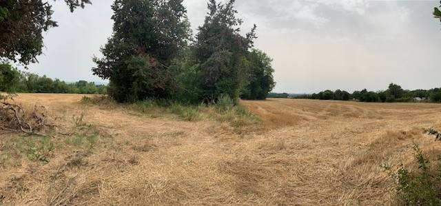 terreno agricolo in vendita a Misano Adriatico in zona Belvedere