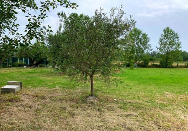 terreno agricolo in vendita a Misano Adriatico