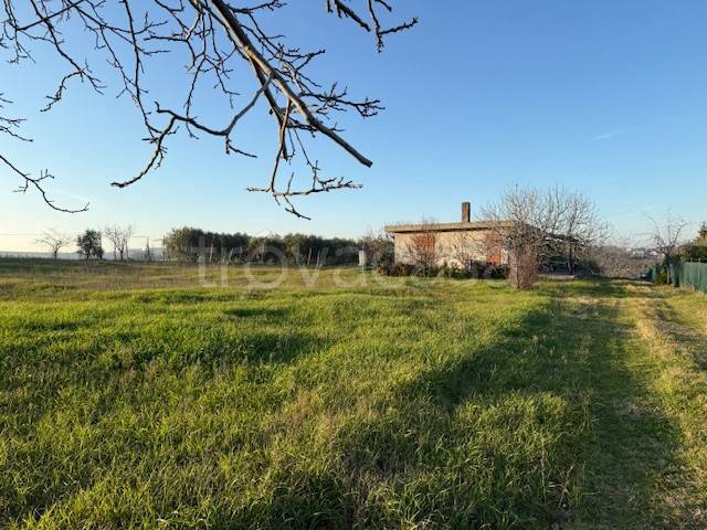 terreno agricolo in vendita a Misano Adriatico