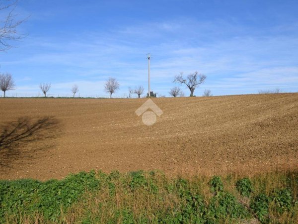 terreno agricolo in vendita a Misano Adriatico in zona Santa Monica