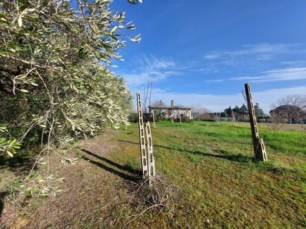 casa indipendente in vendita a Misano Adriatico in zona Misano Monte