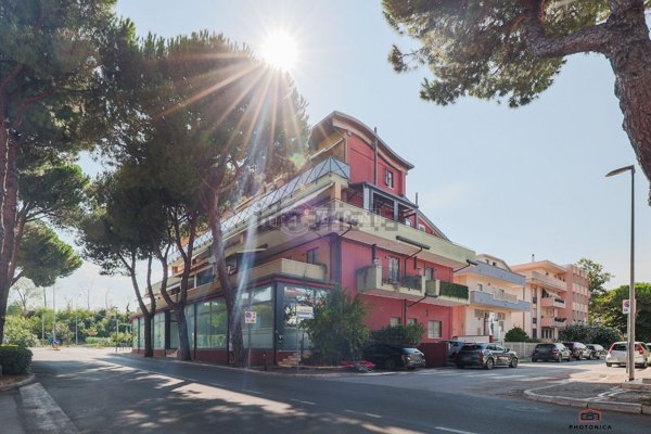 appartamento in vendita a Misano Adriatico