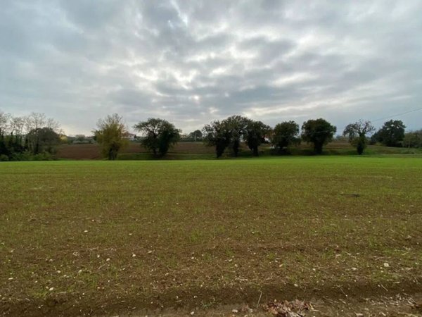 terreno agricolo in vendita a Misano Adriatico