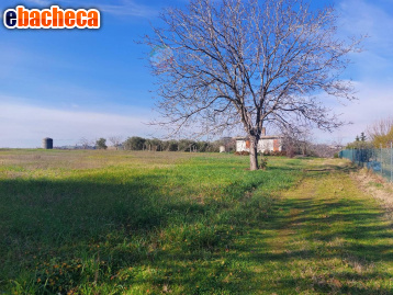 casa indipendente in vendita a Misano Adriatico in zona Cella