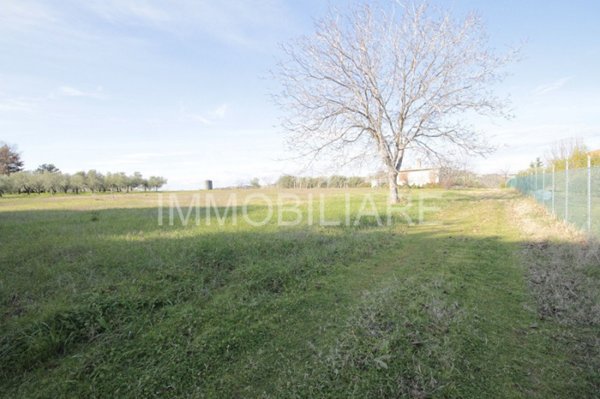 terreno agricolo in vendita a Misano Adriatico in zona Misano Monte