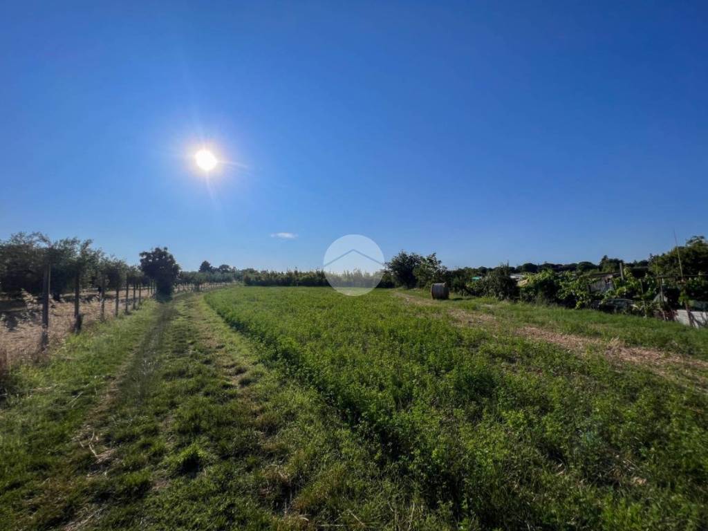 terreno agricolo in vendita a Misano Adriatico