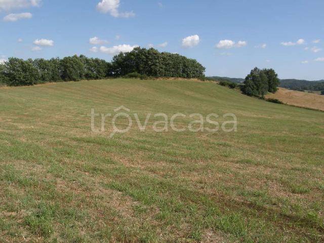 terreno agricolo in vendita a Misano Adriatico