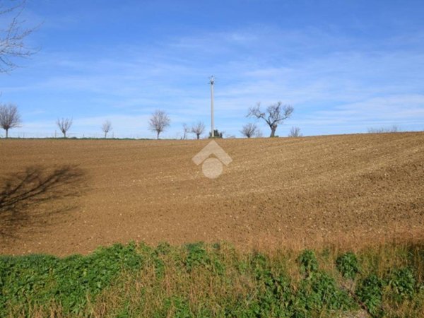terreno agricolo in vendita a Misano Adriatico in zona Santa Monica