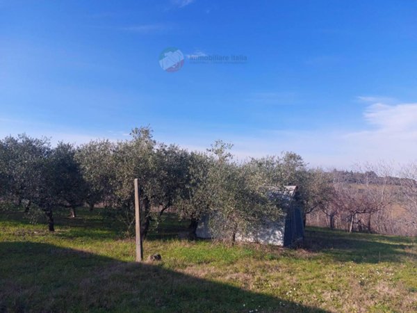 casa indipendente in vendita a Misano Adriatico in zona Cella
