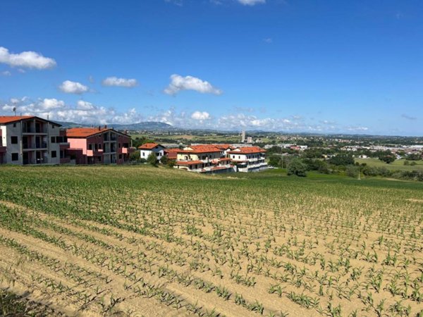 terreno agricolo in vendita a Misano Adriatico in zona Scacciano