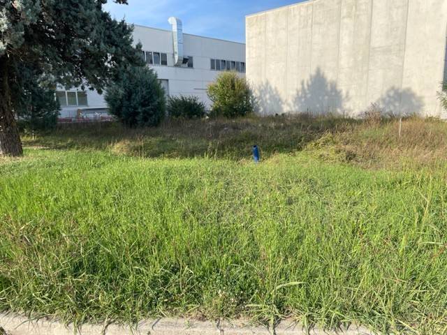 terreno agricolo in vendita a Misano Adriatico in zona Santa Monica