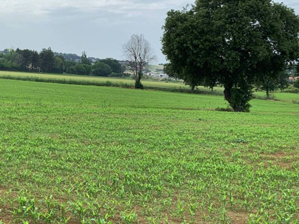 casa indipendente in vendita a Misano Adriatico in zona Scacciano