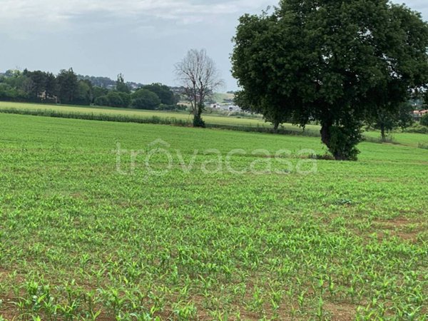 casa indipendente in vendita a Misano Adriatico in zona Scacciano