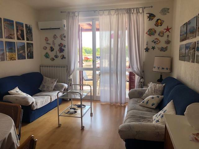 appartamento in vendita a Misano Adriatico