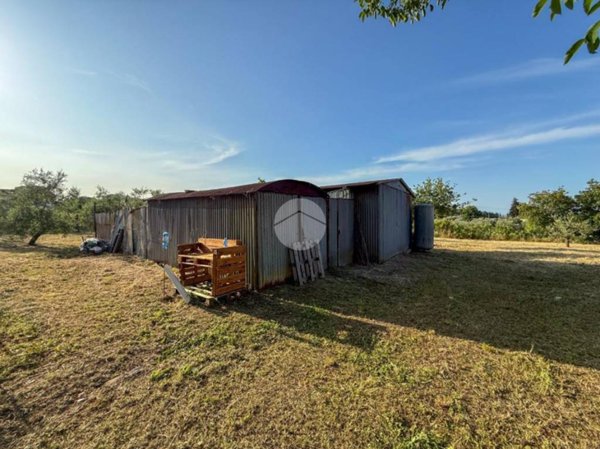 terreno agricolo in vendita a Misano Adriatico in zona Misano Monte