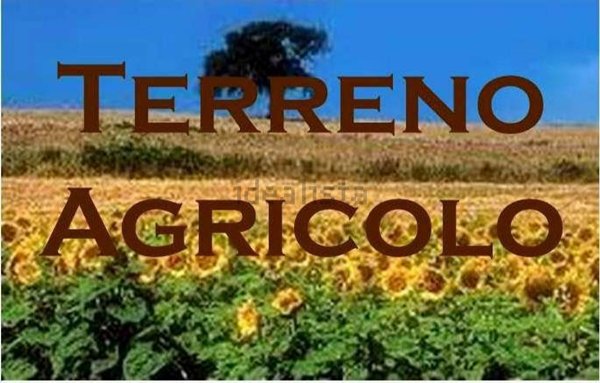 terreno agricolo in vendita a Misano Adriatico in zona Scacciano