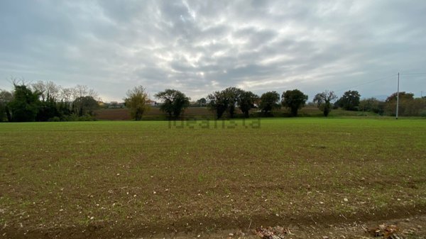 rudere in vendita a Misano Adriatico