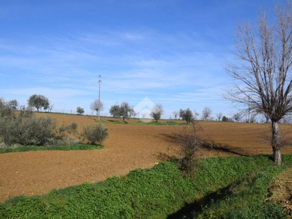 terreno agricolo in vendita a Misano Adriatico in zona Santa Monica