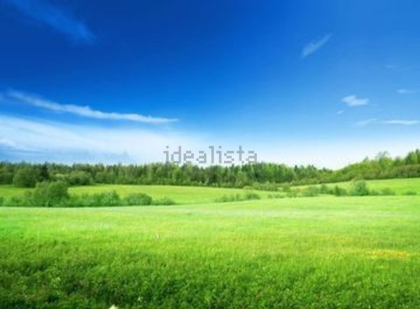 capannone in vendita a Misano Adriatico in zona Santa Monica