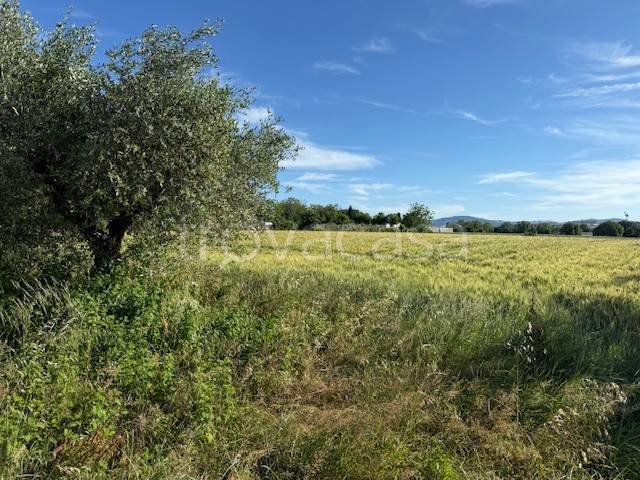 terreno agricolo in vendita a Misano Adriatico