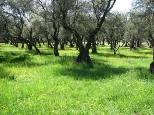 appartamento in vendita a Misano Adriatico