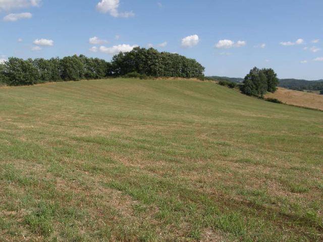 terreno agricolo in vendita a Misano Adriatico