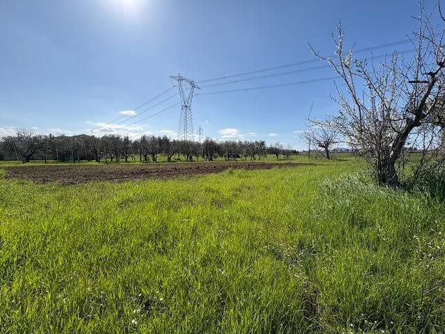 terreno agricolo in vendita a Misano Adriatico